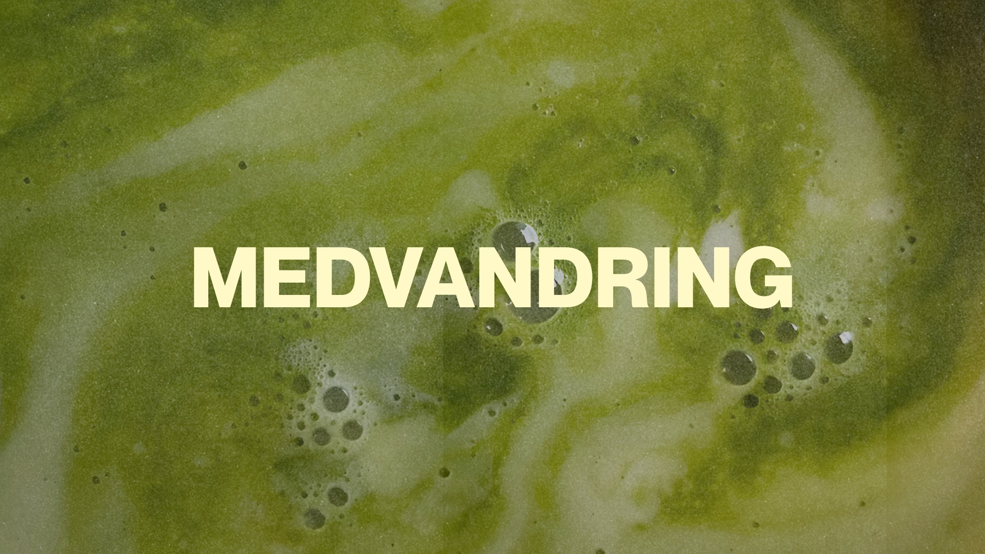 Søndagsslides (15)
