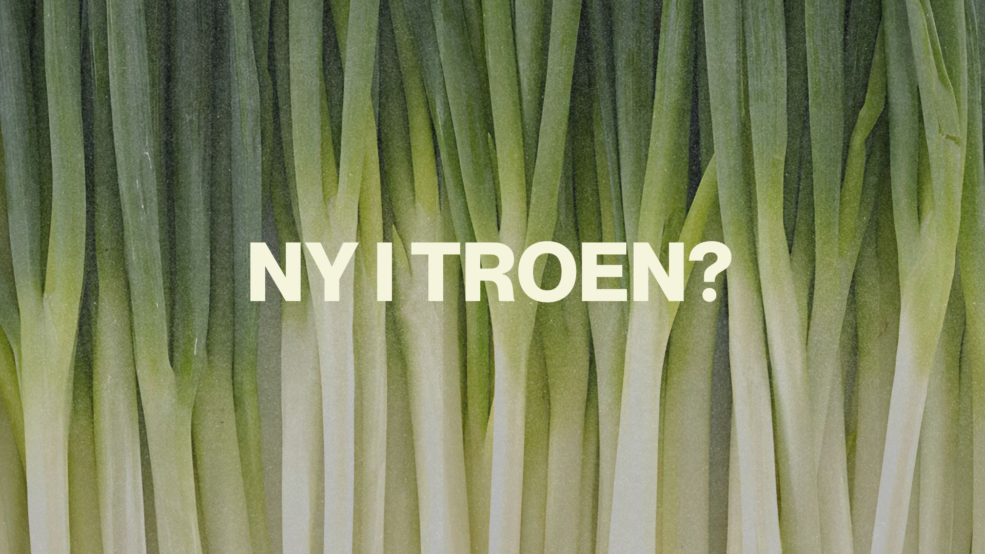 Ny i troen_plain_web