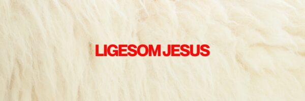 Ligesom Jesus Image